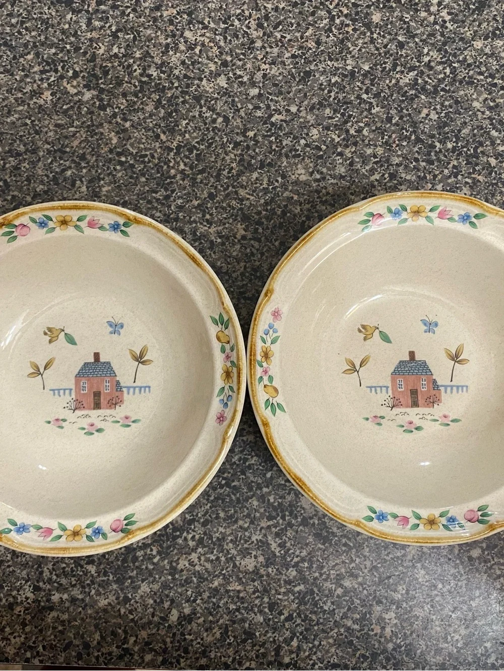 International Heartland Rim Cereal Bowls Set of 2